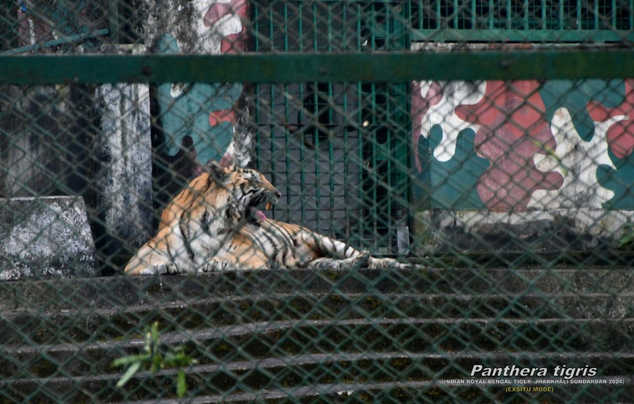 Excursion to Jharkhali Sundarbans